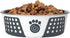 PetRageous 15002 Fiji Stainless Steel Non-Slip Dishwasher Safe Dog Bowl 6.5-Cup Capacity 8.5-inch Diameter 2.75-inch Tall for Large and Extra Larg...