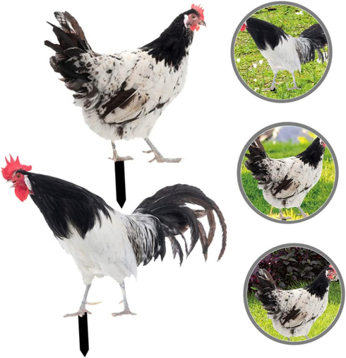 2pcs Decorative Garden Inserts Outdoor Sculpture Garden Poultry Statue Outdoor Sign Garden Stake Yard Sign Outside House Decor Garden Chicken Stat...