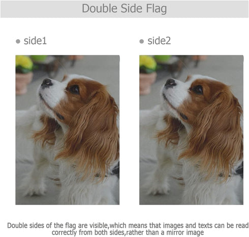Cute Cavalier King Charles Spaniel Dog Garden Flag Banner 12 x 18 Inch Decorative Garden Flag for Outdoor Lawn and Garden Home Décor Double-Sided...