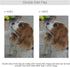 Cute Cavalier King Charles Spaniel Dog Garden Flag Banner 12 x 18 Inch Decorative Garden Flag for Outdoor Lawn and Garden Home Décor Double-Sided...