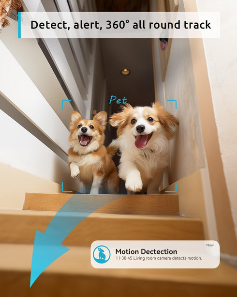 blurams Pet Camera 2K, 360° Indoor Security Camera, Dog Camera with Phone App, PTZ Cameras for Home Security Indoor, 2-Way Audio, Motion Tracking,...