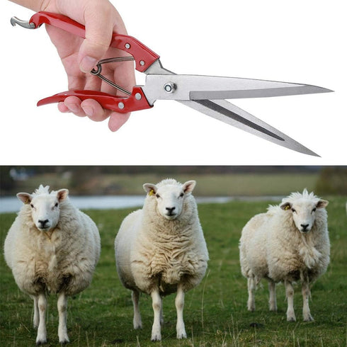 Sheep Shear, Sheep Scissor, Professional Stainless Steel Safety Sheep Wool Shear with Spring for Grooming Heavy Duty Coated Pet Grooming Scissor f...