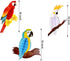 TUPARKA 6 Pieces Tropical Birds Honeycomb Parrot Hawaiian Summer Beach Tiki Bar Luau Party Home Classroom Hanging Decorations(Parrot)...
