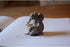 Top Collection Miniature Garden Elephant Reading Book, Gray...