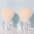 Powder Makeup Brush, Blush Brush, Large Make up Brush Face Brush for Loose or Pressed Setting Powder, Bronzer Brush with Plush Fibers (Transparent...