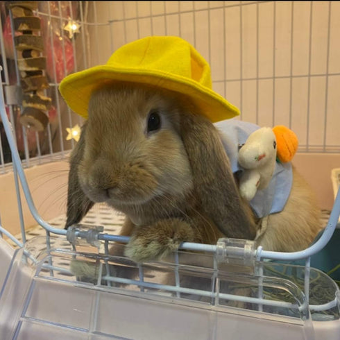 ANIAC Funny Cat Hat for Cat XXS Dog Sun Hat with Ears Hole Rabbit Outfit for Bunny Mini Sombrero Puppy Hat Party Costume Head Accessories for Kitt...