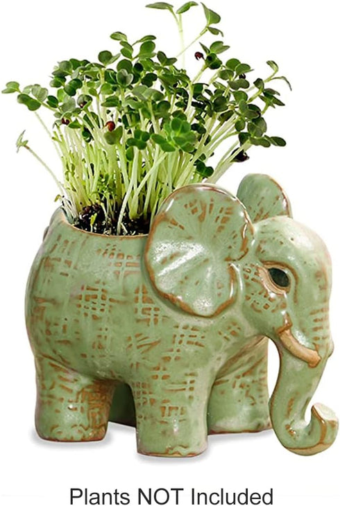 Dahlia Cute Elephant Handmade Ceramic Succulent Planter/Plant Pot/Flower Pot, Son...