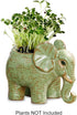 Dahlia Cute Elephant Handmade Ceramic Succulent Planter/Plant Pot/Flower Pot, Son...