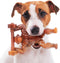 Bacon Flavor Gorilla Dog Chew Toy for Medium & Large Breed Dogs, Indestructible Durable Long Lasting 100% Nylon Dog Chew Toy for Aggressive Chewer...