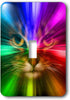 3dRose lsp_18499_1 Domestic Cat Surrounded with A Rainbow of Colors Toggle Switch...