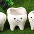 Ceramic Planter Ceramic Planter 2pcs Ceramic Tooth Planter Mini Porcelain Succulents Flower Pot Cute Pen Pencil Holder for Office Home Desk Decor ...