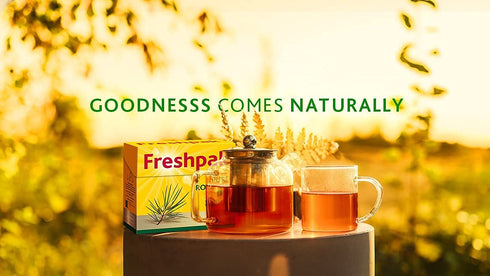Freshpak Rooibos - Tagless Wellness - Ginseng 20s (Keto Friendly, Gluten Free, Halal)...
