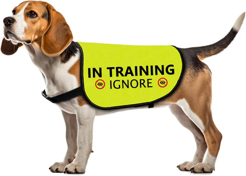 Training Dog Jacket Vest in Training Ignore Dog Vest Dog Walking Slogan Warning Vest (in Training Ignore-Large)...