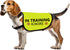 Training Dog Jacket Vest in Training Ignore Dog Vest Dog Walking Slogan Warning Vest (in Training Ignore-Large)...