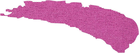 Tulip 26547 Soft Fabric Paint 4oz Matte Azalea...