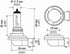 HELLA H11TB Twin Blister Standard Halogen Bulb, 12 V, 55W, 2 Pack...