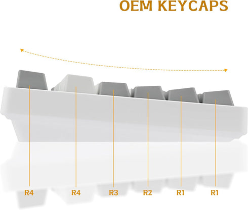Happy Balls PBT Keycaps Backlit Cherry MX Keycap Set Doubleshot OEM Profile Translucent with Keycap Puller for US Layout 61 87 104 108 MX Switches...