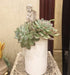 Decorative Angel Garden Stakes Miniature Angel Fairy Garden Angel Small Memorial Statue...