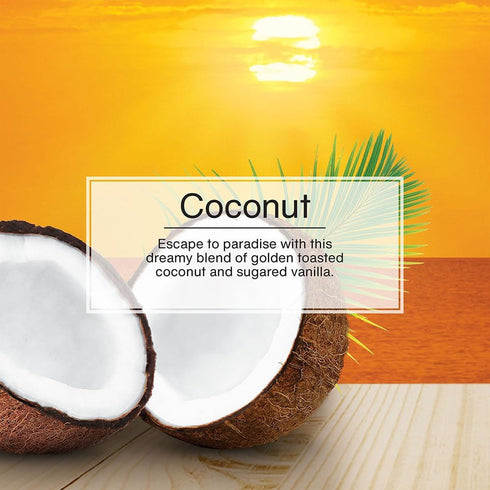LITTLE TREES Air Fresheners Car Air Freshener. Hanging Tree Provides Long Lasting Scent for Auto or Home. Coconut, 24 Air Fresheners...