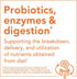 NOW Supplements, Clinical GI Probiotic™, 50+ Formula, Strain Verified, 60 Veg Capsules...