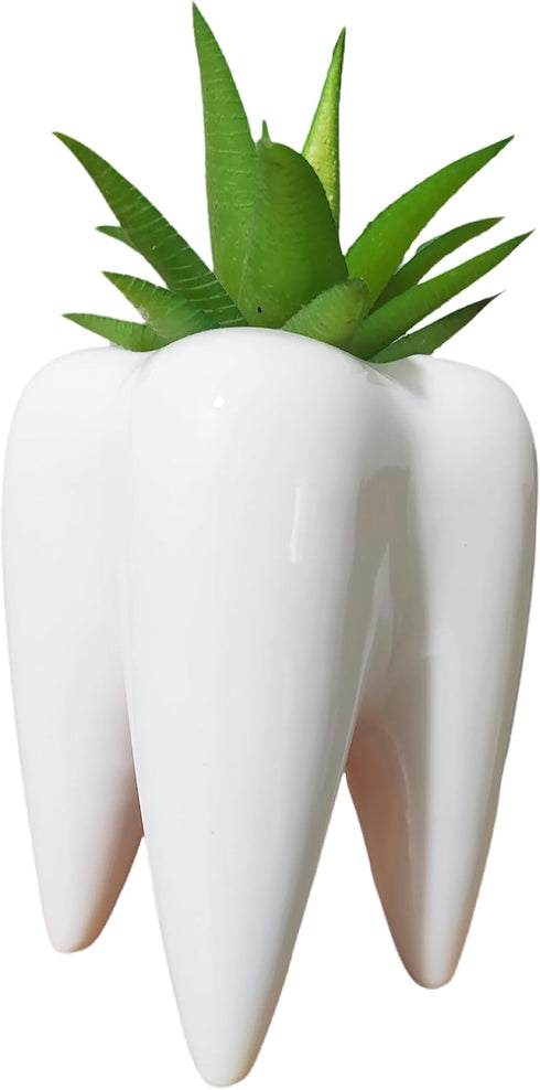 3.93 Inches Tall Tooth Shaped Ceramic Succulent Cactus Vase Flower Pot (Plants Not Included)...