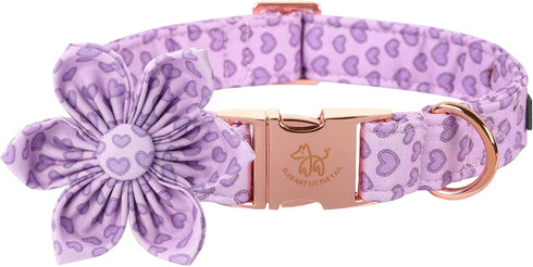 Elegant little tail Valentine's Day Heart Dog Collar, Cute Detachable Dog Collar with Flower, Gift Pet Collar Adjustable Dog Collar for X-Small Pu...