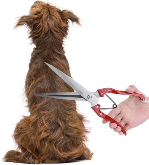 Sheep Shear, Sheep Scissor, Professional Stainless Steel Safety Sheep Wool Shear with Spring for Grooming Heavy Duty Coated Pet Grooming Scissor f...