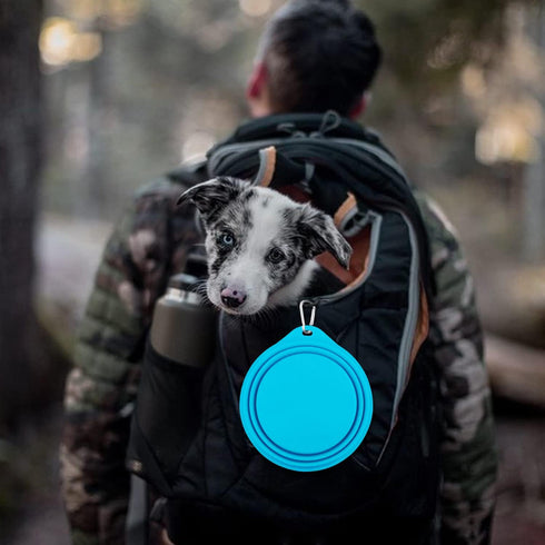 COOYOO Collapsible Dog Bowls 700ML,2 Pack Portable Collapsible Dog Water Bowls for Cats Dogs,Pet Foldable Feeding Watering Dish for Traveling Camp...