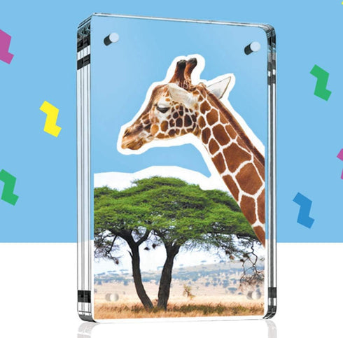 Magnetic Acrylic Picture Frame - Rounded Corners, Frameless, Double Sided - Perfect for Lovely Pets - 4.25x6.25' - 1pc...