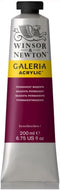 Winsor & Newton Galeria Acrylic Color, 200ml (6.75-oz) Tube, Permanent Magenta...
