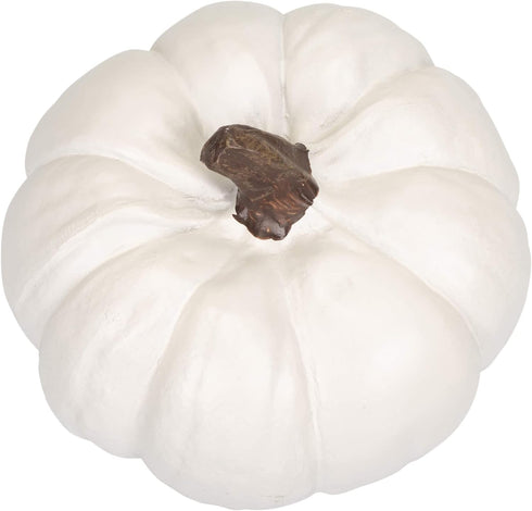 Elanze Designs Classic White 6 inch Resin Harvest Decorative Pumpkins Pack of 2...