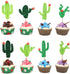 Cactus Cupcake Toppers Summer Hawaii Theme Party Favors Cupcake Picks for Fruit Cake Decorations Fiesta West Tropical Cacti Birthday Party Supplie...