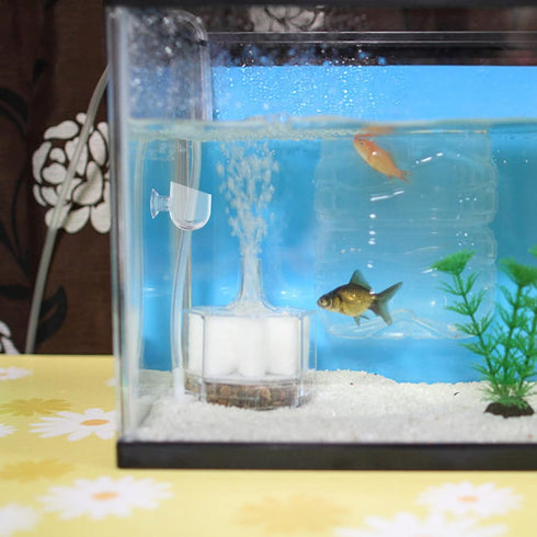Mipcase 4Pcs Red Worm Feeder Shrimp Feeding Dish with Suction Cup Aquarium Glass Cone Feeder Cup Floating Fish Tank Feeding Food Bowl Plant Holder...