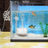 Mipcase 4Pcs Red Worm Feeder Shrimp Feeding Dish with Suction Cup Aquarium Glass Cone Feeder Cup Floating Fish Tank Feeding Food Bowl Plant Holder...