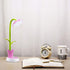 Desk Lamp for Kids Sunflower LED Charging Table Lamp Support Eye Protection Small Desk Folding for Reading,Study and Office, Adjustable Brightness...