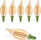 E12 Led Light Bulbs Retro Candelabra Led Light Bulbs Dimmable 25 Watt Incandescent Equivalent CRI 85+ 150lm Flame Tip Shape Ca11 Shape for Chandel...