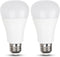 LED Light Bulbs Daylight 15W: 1600Lm 100W Equivalent LED Bulbs E26 Edison Screw Base Super Bright 5000K LED Bulb A19 15W Light Bulbs for Indoor Ou...