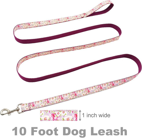 10FT Dog Leash, Strong Thick Nylon Pet Flat Leash with Cute Stylish Printed Pattern for Small Medium Large Dogs Walking Training...
