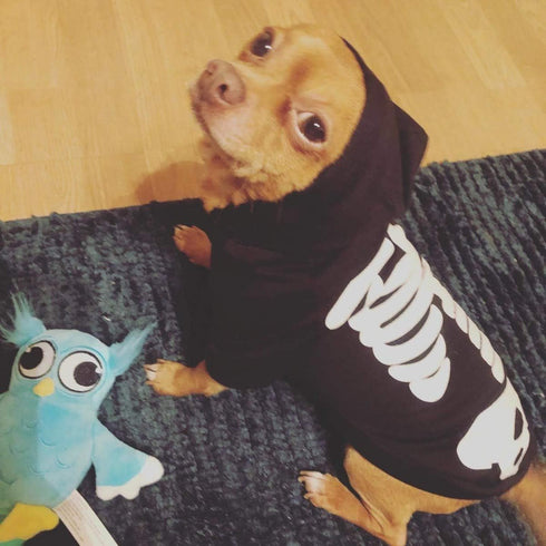 Halloween Pet Dog Cat Skull Hoodies Glowing Skeleton Bones Costume Outfit for Dogs Cats (L)...