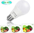 Honle E26 E27 LED Light Bulbs 12V 24V Low Voltage 7W A19 Daylight White 6000k Standard Edison Base 60w Equivalent, Pack of 2...