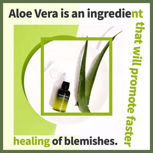THE SKIN HOUSE Aloe Fresh Serum 1.7 fl.oz Soothing, Calming, Moisturizing | Aloe Vera, Collagen, Betaine | Korean Skincare, Facial Serum for face,...