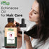 Echinacea (Echinacea angustifolia) Oil | Pure & Natural Carrier Oil for Skincare and Hair Care - 30ml/1.01fl oz...