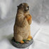 Garden Statue Lawn Ornament Animal Garden Statue Sculpture Resin Lawn Ornaments Decor Indoor Outdoor Figurines for Patio Yard and House - Marmot...