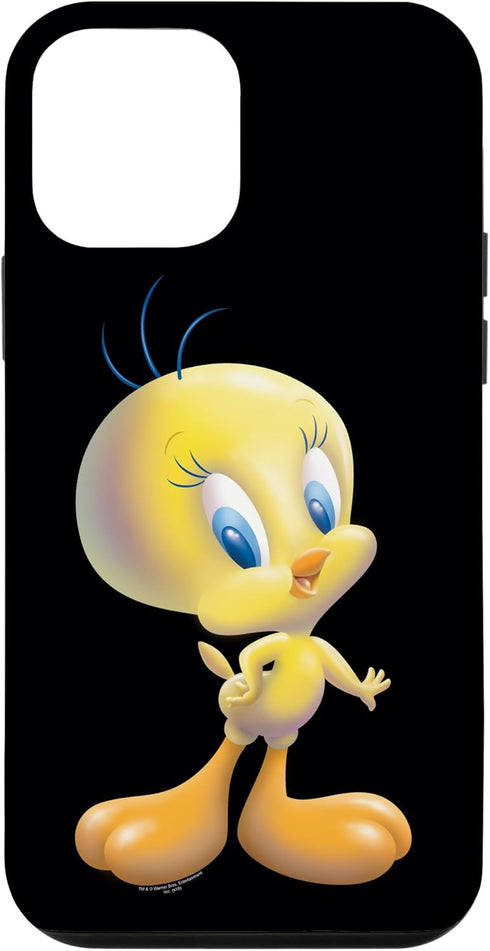 iPhone 12 mini Looney Tunes Tweety Bird Airbrushed Case...