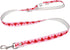 ARING PET Valentine's Day Dog Leash-Cute Pink Heart Dog Leash, Valentine Pet Leashes with Quick Release Buckle for Small Medium Large Dogs...