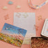 100pcs Airplane Shape Paper Clips with Tin, Rose Gold and Yellow Gold, Funny Cute Paperclips Bookmarks Planner Clips for Fun Office Supplies Schoo...