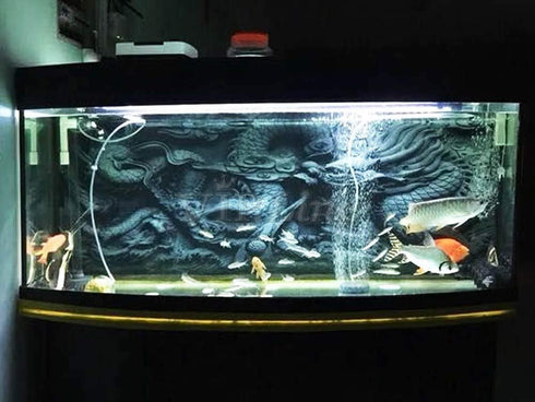 Dragon Relief Aquarium Background Poster PVC Fish Tank Decorations Landscape (24" x 12"/ 61 x 30cm)...