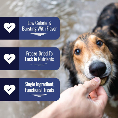 Freeze Dried Beef Liver Bites - Single Ingredient Beef Liver Dog Treats - Low Calorie Training Treats for Dogs - 2oz Bag, 1 Pack...