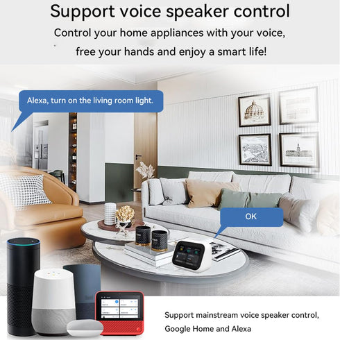 Smart Light Switch, Matter Mini Smart Relay Module for DIY Smart Home Automation Solution, Smart Light Switch Compatible with Ewelink, Alexa, Goog...