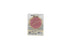 Profusion Cosmetics Jurassic Park Illuminating Highlighter Face Make Up - Skin Perfecting Palette Roaring Glow for Adventure-Ready Looks | Vegan &...